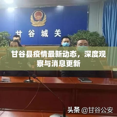 甘谷縣疫情最新動態(tài)，深度觀察與消息更新