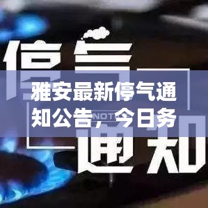 鳥(niǎo)駭鼠竄 第6頁(yè)