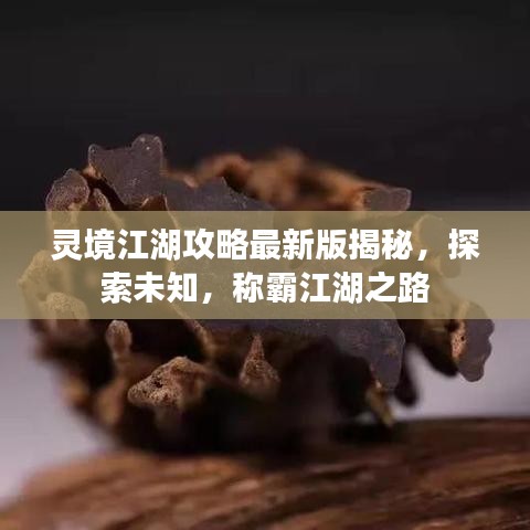 靈境江湖攻略最新版揭秘，探索未知，稱霸江湖之路