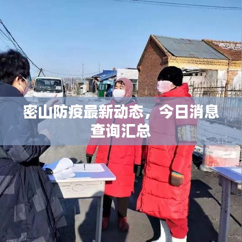 密山防疫最新動態(tài)，今日消息查詢匯總