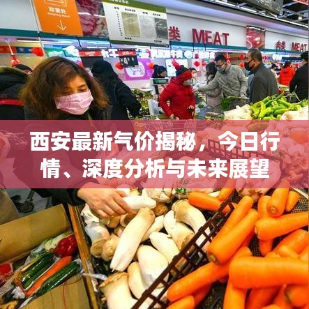 西安最新氣價揭秘，今日行情、深度分析與未來展望