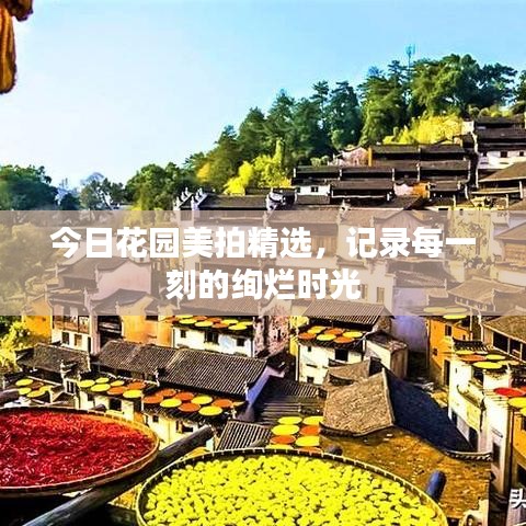今日花園美拍精選，記錄每一刻的絢爛時光