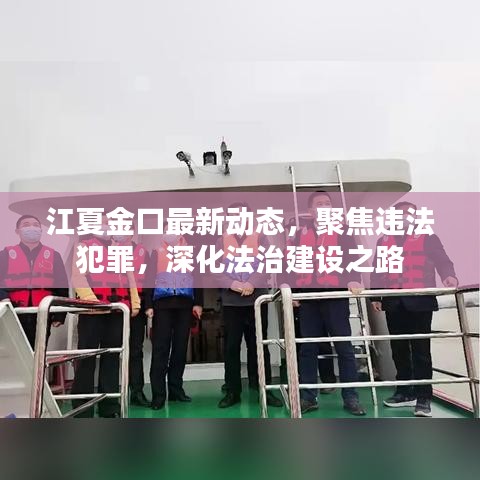 江夏金口最新動態(tài)，聚焦違法犯罪，深化法治建設之路