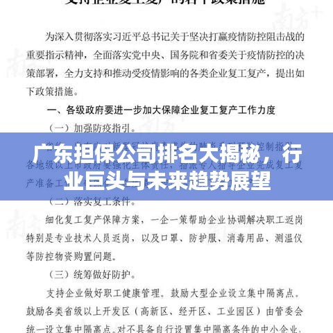 廣東擔(dān)保公司排名大揭秘，行業(yè)巨頭與未來趨勢展望