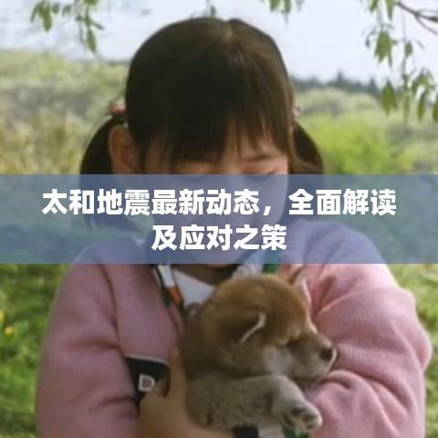 太和地震最新動態(tài)，全面解讀及應(yīng)對之策