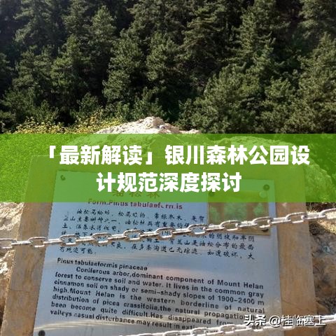 「最新解讀」銀川森林公園設(shè)計(jì)規(guī)范深度探討