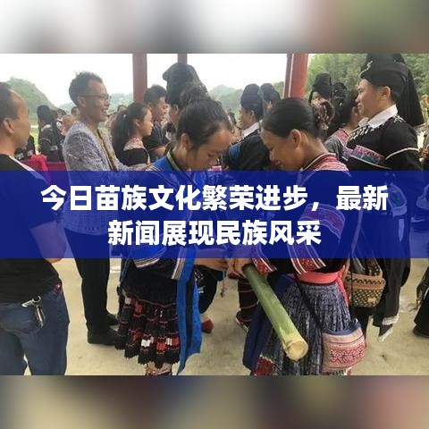 今日苗族文化繁榮進步，最新新聞展現(xiàn)民族風采