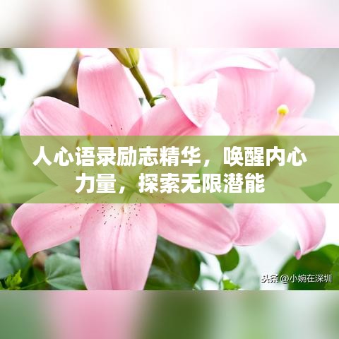 人心語(yǔ)錄勵(lì)志精華，喚醒內(nèi)心力量，探索無(wú)限潛能