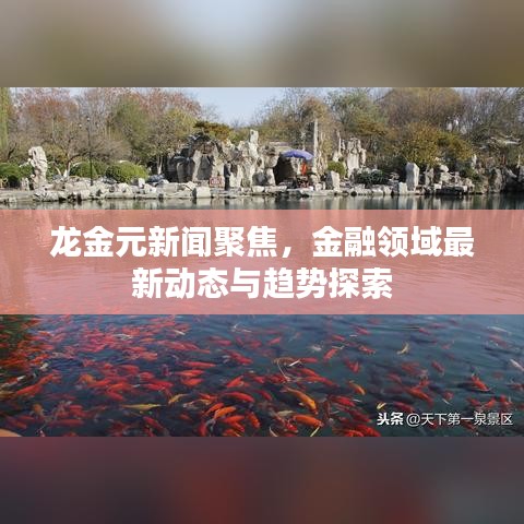 龍金元新聞聚焦，金融領(lǐng)域最新動態(tài)與趨勢探索