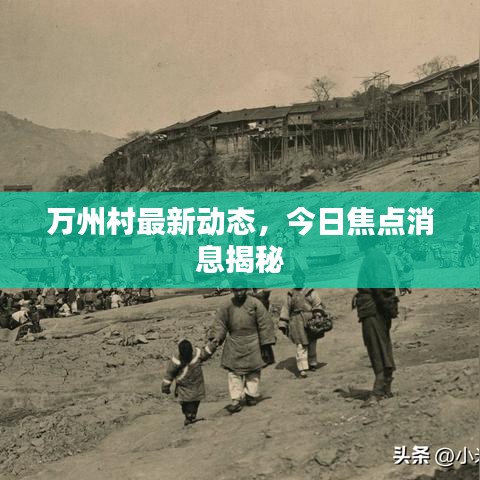 萬州村最新動態(tài)，今日焦點消息揭秘