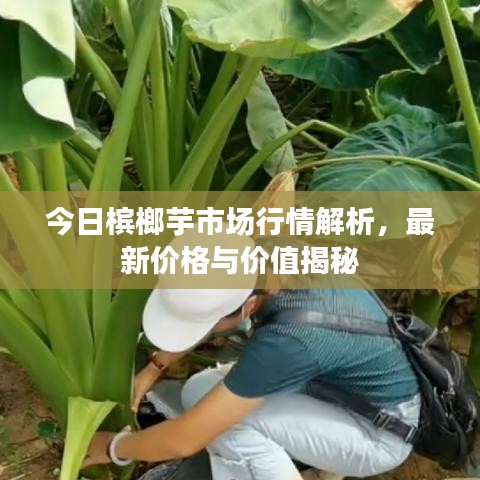 虛張聲勢 第6頁