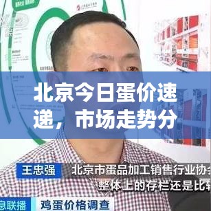 北京今日蛋價速遞，市場走勢分析預(yù)測報告