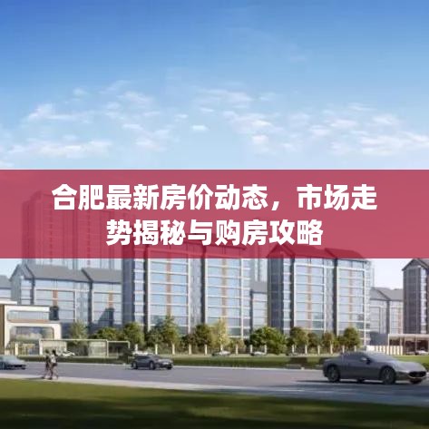 合肥最新房價動態(tài)，市場走勢揭秘與購房攻略