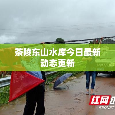 茶陵?yáng)|山水庫(kù)今日最新動(dòng)態(tài)更新