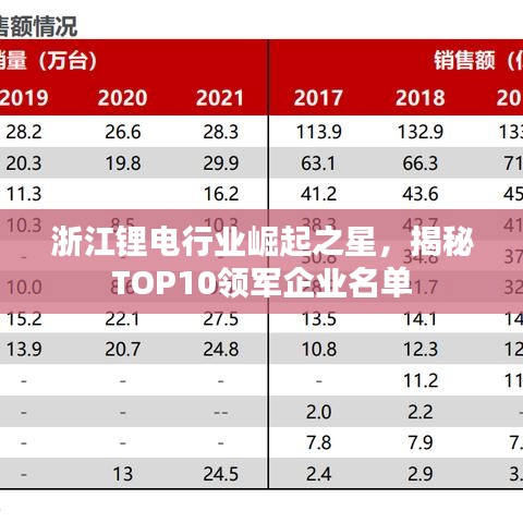 浙江鋰電行業(yè)崛起之星，揭秘TOP10領(lǐng)軍企業(yè)名單