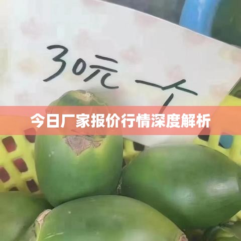 今日廠家報(bào)價(jià)行情深度解析