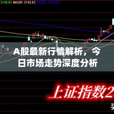 A股最新行情解析，今日市場(chǎng)走勢(shì)深度分析