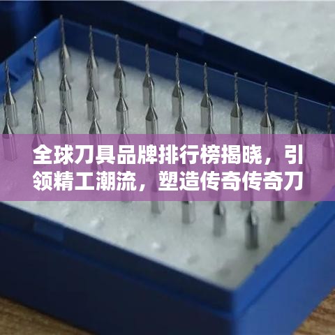 瑞雪飛舞 第6頁