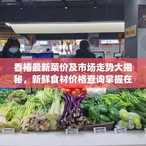 香椿最新菜價及市場走勢大揭秘，新鮮食材價格查詢掌握在手！