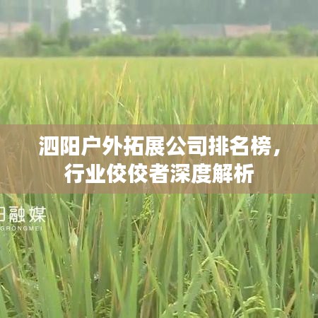 泗陽戶外拓展公司排名榜，行業(yè)佼佼者深度解析
