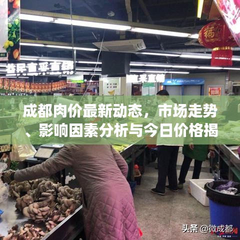 成都肉價(jià)最新動(dòng)態(tài)，市場(chǎng)走勢(shì)、影響因素分析與今日價(jià)格揭秘