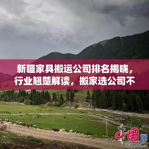 新疆家具搬運(yùn)公司排名揭曉，行業(yè)翹楚解讀，搬家選公司不再迷茫