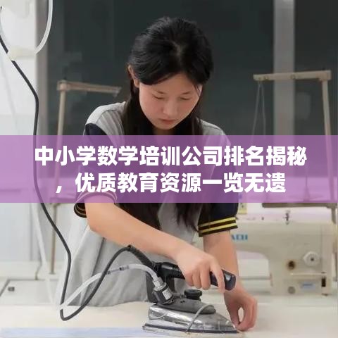 中小學(xué)數(shù)學(xué)培訓(xùn)公司排名揭秘，優(yōu)質(zhì)教育資源一覽無遺