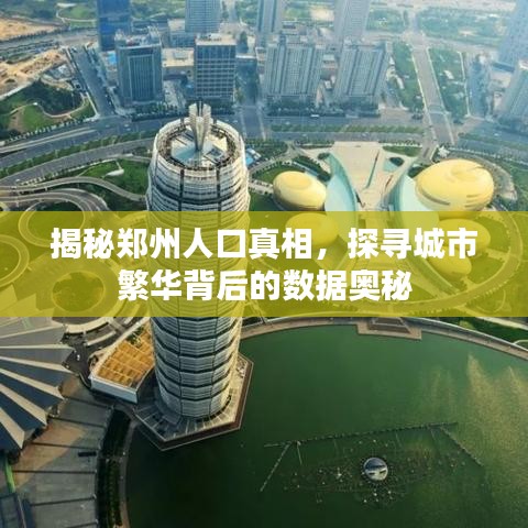 揭秘鄭州人口真相，探尋城市繁華背后的數(shù)據(jù)奧秘