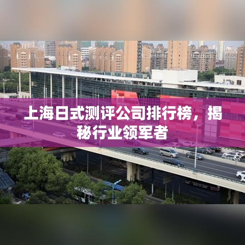 上海日式測(cè)評(píng)公司排行榜，揭秘行業(yè)領(lǐng)軍者