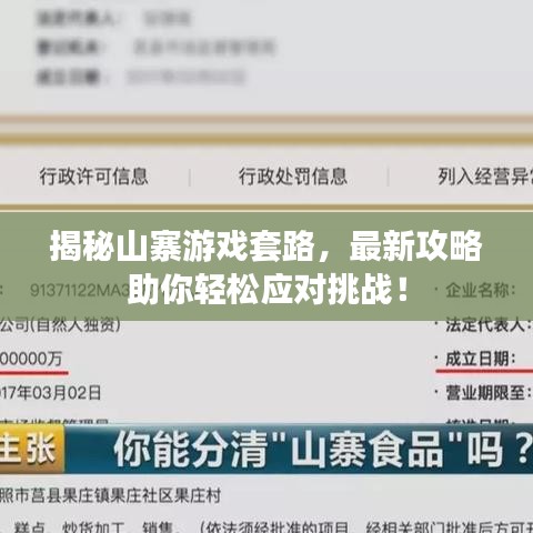 揭秘山寨游戲套路，最新攻略助你輕松應(yīng)對挑戰(zhàn)！