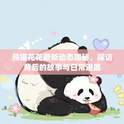 熊貓花花最新動態(tài)揭秘，探訪背后的故事與日常進(jìn)展