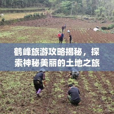 張冠李戴 第6頁