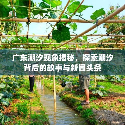 潔身自好 第6頁(yè)
