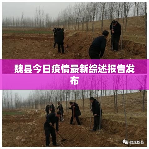 魏縣今日疫情最新綜述報(bào)告發(fā)布