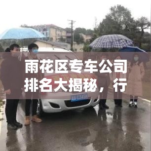 雨花區(qū)專車公司排名大揭秘，行業(yè)翹楚一覽表！