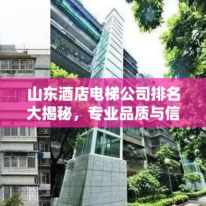 山東酒店電梯公司排名大揭秘，專業(yè)品質(zhì)與信譽(yù)的全方位較量