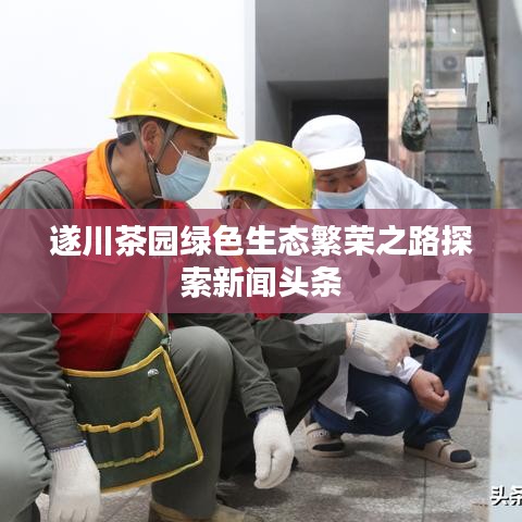 遂川茶園綠色生態(tài)繁榮之路探索新聞頭條