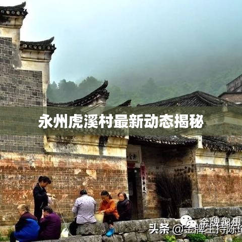 永州虎溪村最新動(dòng)態(tài)揭秘