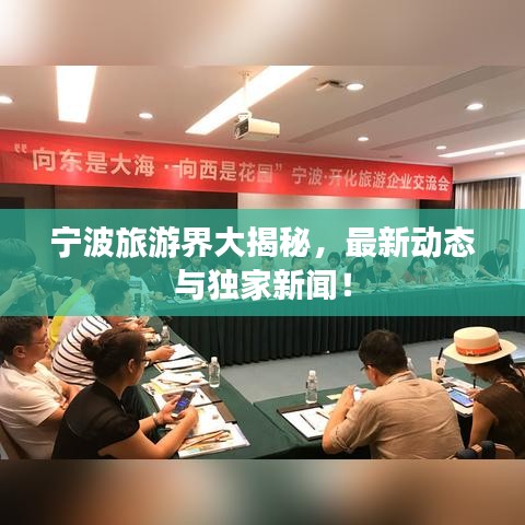 寧波旅游界大揭秘，最新動(dòng)態(tài)與獨(dú)家新聞！