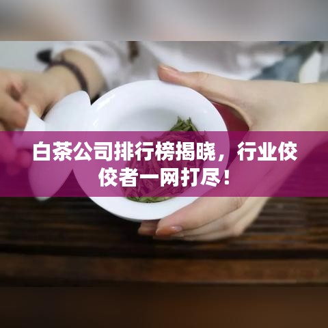 白茶公司排行榜揭曉，行業(yè)佼佼者一網(wǎng)打盡！