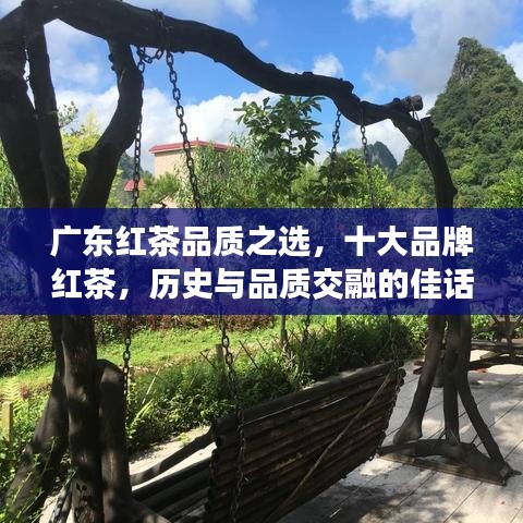 廣東紅茶品質(zhì)之選，十大品牌紅茶，歷史與品質(zhì)交融的佳話