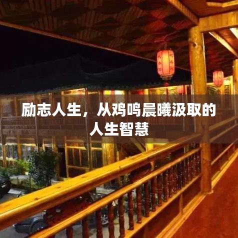 勵(lì)志人生，從雞鳴晨曦汲取的人生智慧