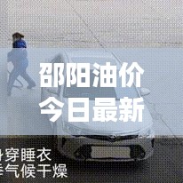 邵陽油價今日最新動態(tài)，全面解析深度洞察報告出爐！