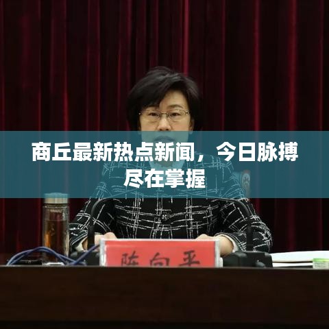 采椽不斫 第7頁