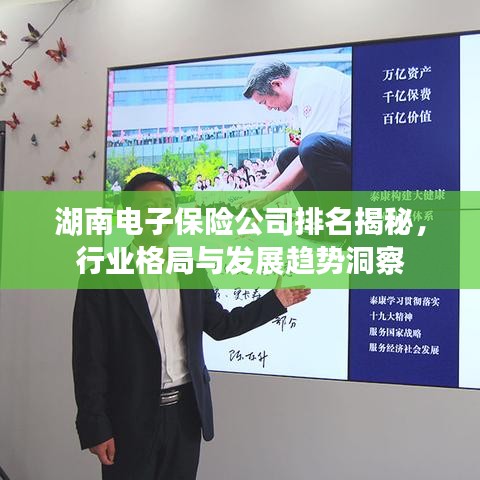 湖南電子保險公司排名揭秘，行業(yè)格局與發(fā)展趨勢洞察