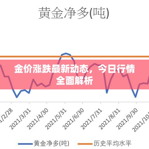 金價(jià)漲跌最新動(dòng)態(tài)，今日行情全面解析