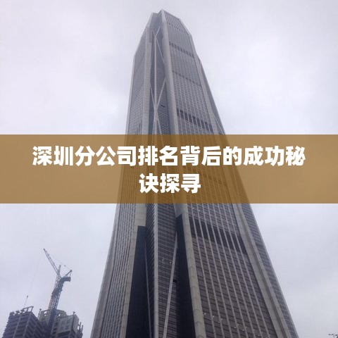 深圳分公司排名背后的成功秘訣探尋
