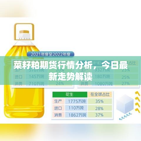 菜籽粕期貨行情分析，今日最新走勢(shì)解讀