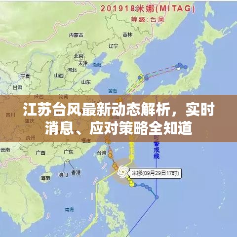 江蘇臺風(fēng)最新動態(tài)解析，實時消息、應(yīng)對策略全知道