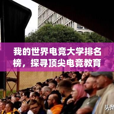 我的世界電競大學(xué)排名榜，探尋頂尖電競教育殿堂